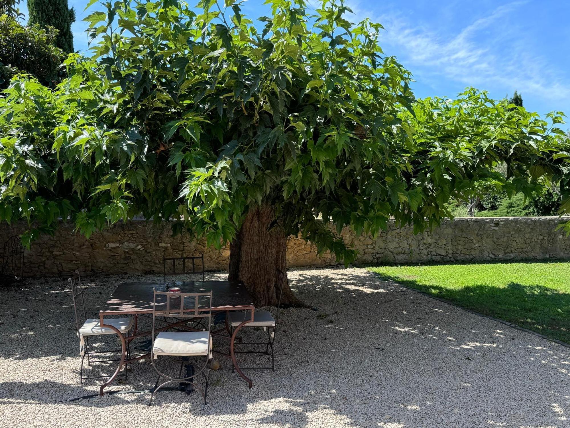 Puyvert Bastide Du Buou 아파트 객실 사진